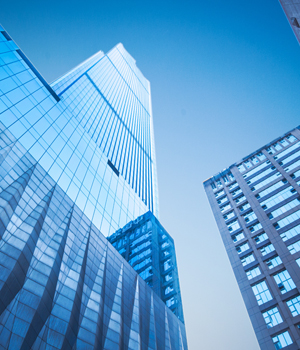 1624970337188455.jpg gs.jpg